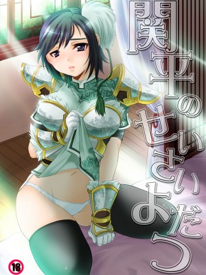 (C86) [H.A.O (トム)] 銀瓶梅・○平のせいさいよだつ (真・三國無双)_24