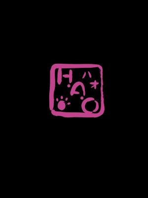 (C86) [H.A.O (トム)] 銀瓶梅・○平のせいさいよだつ (真・三國無双)_37