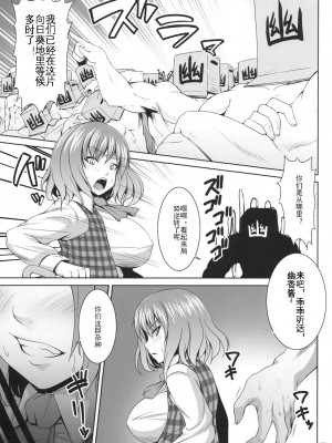 (例大祭SP) [脳内液汁 (ソメジマ)] 向日葵の子種 (東方Project) [KOKORO个人汉化]_06