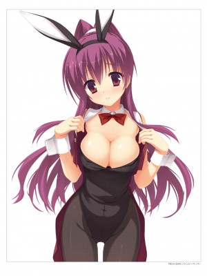 [ゆずソフト] DRACU－RIOT！ オフィシャル・ビジュアルファンブック [想舔羽月的jio组 汉化]_017