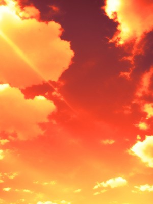 [くすりゆび (黒結)] デリヘル初日〜お嬢様の友達はお嬢様 橘さん〜_09