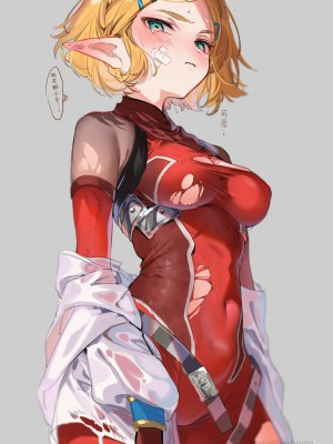 [朱里／shuri] ゼルダの伝説 (林塞图集) [白杨汉化组]_08