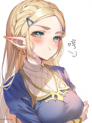 [朱里／shuri] ゼルダの伝説 (林塞图集) [白杨汉化组]_51