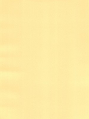 [毒虫処刑隊 (兼田麻生)] ボーイッシュ爆乳田舎娘に自分が女（メス）であるとわからせてやった・・・_04