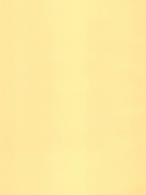 [毒虫処刑隊 (兼田麻生)] ボーイッシュ爆乳田舎娘に自分が女（メス）であるとわからせてやった・・・_03