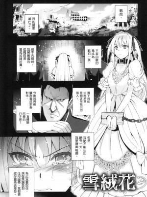 [犬江しんすけ] 蹂躪公主 [中国翻訳] [無修正]_187