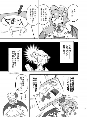 (秋季例大祭10) [桃色やさい畑 (おやさい)] れみふらただいま発情中!？ (東方project)_06