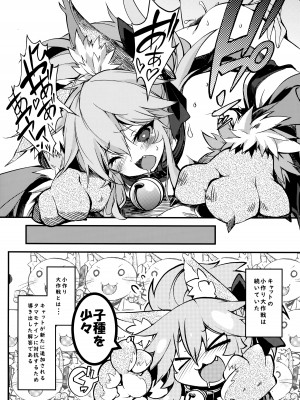 (C102) [トマト缶詰 (トマトマト)] きゃっとちゃんぱこぱこ種付性活 (Fate／Grand Order)_05