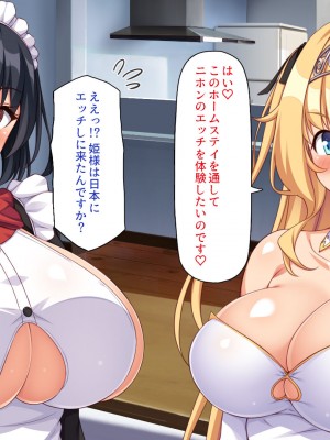 [一億万軒茶屋] スケベの国のドエロ姫〜我が家にエロエロホームステイ！〜_017