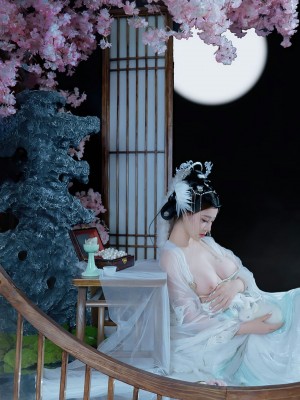 年年 嫦娥仙子_image (21)