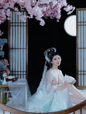 年年 嫦娥仙子_image (22)