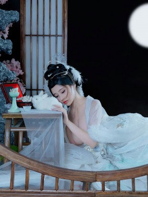 年年 嫦娥仙子_image (26)