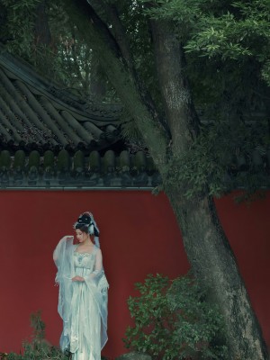 年年 嫦娥仙子_image (40)