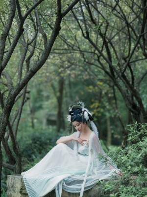 年年 嫦娥仙子_image (45)
