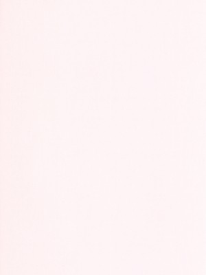 [きゃらだいん] 小さなエルフと野蛮な獣人｜The Little Elf and the Savage Beastmen [無修正]_48