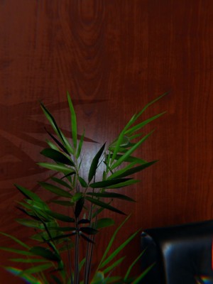 [保安] 逆转番外01_02和外传_01_214