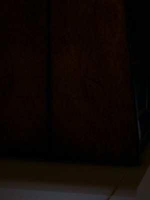 [保安] 逆转番外01_02和外传_02_002