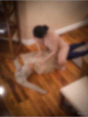 [zis] 盗母笔记 01-02_02_269