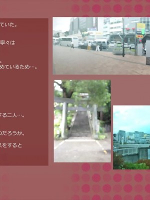 (同人CG集) [サークルめでをい] 寝取られネネさん_0301