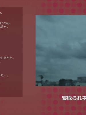 (同人CG集) [サークルめでをい] 寝取られネネさん_0436