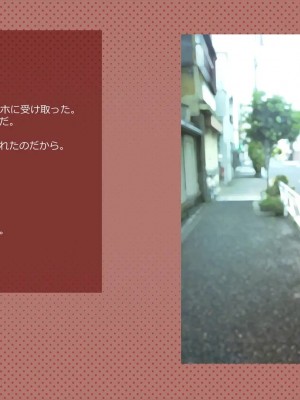 (同人CG集) [サークルめでをい] 寝取られネネさん_0486