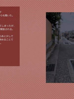 (同人CG集) [サークルめでをい] 寝取られネネさん_0519