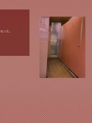 (同人CG集) [サークルめでをい] 寝取られネネさん_0545