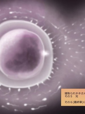 (同人CG集) [サークルめでをい] 寝取られネネさん_1572