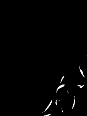 [chimere／marie (ウゲツ)] 鴉狩り (Fate／Grand Order) [DL版]_19