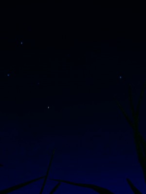 [decyiqi3] 美母武斗家（上篇）- 败北的美母_145_1_145