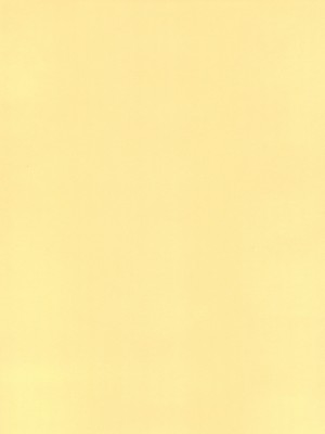 (秋季例大祭8) [Satellites (サテツ)] 妹様とM従僕♥♥ (東方Project) [中国翻訳]_02