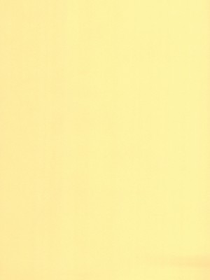 (秋季例大祭8) [Satellites (サテツ)] 妹様とM従僕♥♥ (東方Project) [中国翻訳]_15