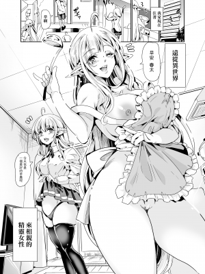 [弥美津峠 (鳳まひろ)] スケベエルフ姉妹、婚活に来る~  [中文] [無修正] [自整合]_002