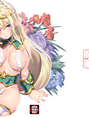 [魔空軍団 (しのづかあつと)] スケベエルフ探訪記総集編 [DL版]_032