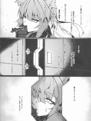 (C100) [eK-SHOP (ついじ)] C100会場限定おまけ本 Acolasia Catastrophe -淫墮の矢文- (Fate／Grand Order)_04