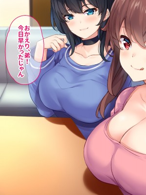 [ニュルリンベルク (やしちぃ)] 父親が再婚した結果どスケベすぎる義母姉妹の性処理係になりました 絶倫チンポ奪い合い搾精ハーレム性活_004