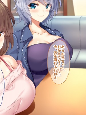 [ニュルリンベルク (やしちぃ)] 父親が再婚した結果どスケベすぎる義母姉妹の性処理係になりました 絶倫チンポ奪い合い搾精ハーレム性活_005