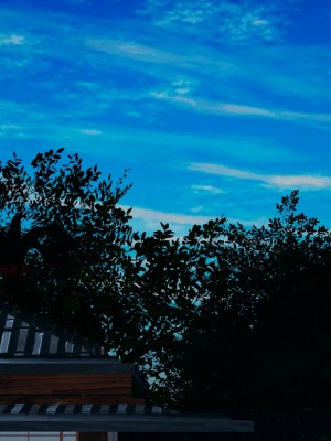 [decyiqi3] 美母武斗家IF下篇 - 妈妈成为了丝袜淫奴_138