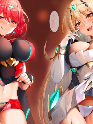 (C102) [DAIVE (KOU)] 天ノ性胚 (ゼノブレイド2) [甜族星人x我不看本子汉化]_06