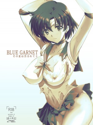 [ブルーガーネット (芹沢克己)] その星は汚されて3 (美少女戦士セーラームーン) [中国翻訳] [DL版]_20