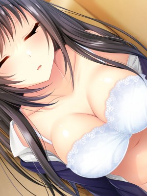 [サポットノーズ] 姉を売った日 ～お姉ちゃんの純潔はクズ男との睡眠姦で散った～_358