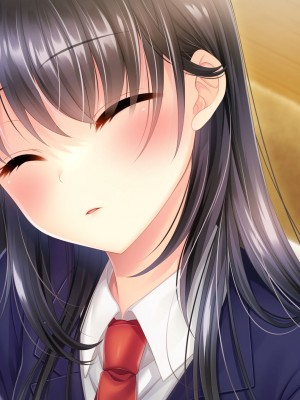 [サポットノーズ] 姉を売った日 ～お姉ちゃんの純潔はクズ男との睡眠姦で散った～_331