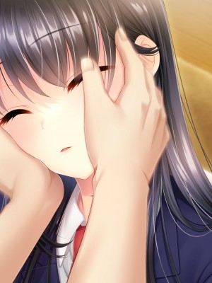 [サポットノーズ] 姉を売った日 ～お姉ちゃんの純潔はクズ男との睡眠姦で散った～_329