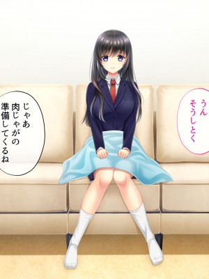 [サポットノーズ] 姉を売った日 ～お姉ちゃんの純潔はクズ男との睡眠姦で散った～_282