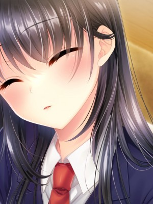 [サポットノーズ] 姉を売った日 ～お姉ちゃんの純潔はクズ男との睡眠姦で散った～_332