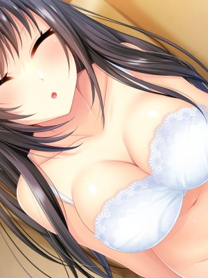 [サポットノーズ] 姉を売った日 ～お姉ちゃんの純潔はクズ男との睡眠姦で散った～_359