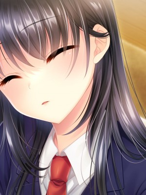 [サポットノーズ] 姉を売った日 ～お姉ちゃんの純潔はクズ男との睡眠姦で散った～_328