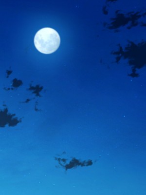 [クレドソフィア (cccpo)] 乳のデカい幼馴染みJKがシコいからサキュバスプレイ頼んでみたら、本番中出し妊娠OKのヘンタイ女で最高だった_025