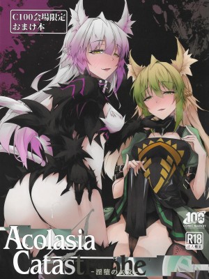 (C100) [eK-SHOP (ついじ)] C100会場限定おまけ本 Acolasia Catastrophe -淫墮の矢文- (Fate／Grand Order) [黑锅汉化组]_02