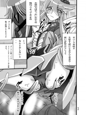 (C79) [塩屋 (塩屋舞子)] きゅあきゅあふらわぁ3 (ハートキャッチプリキュア!)_02